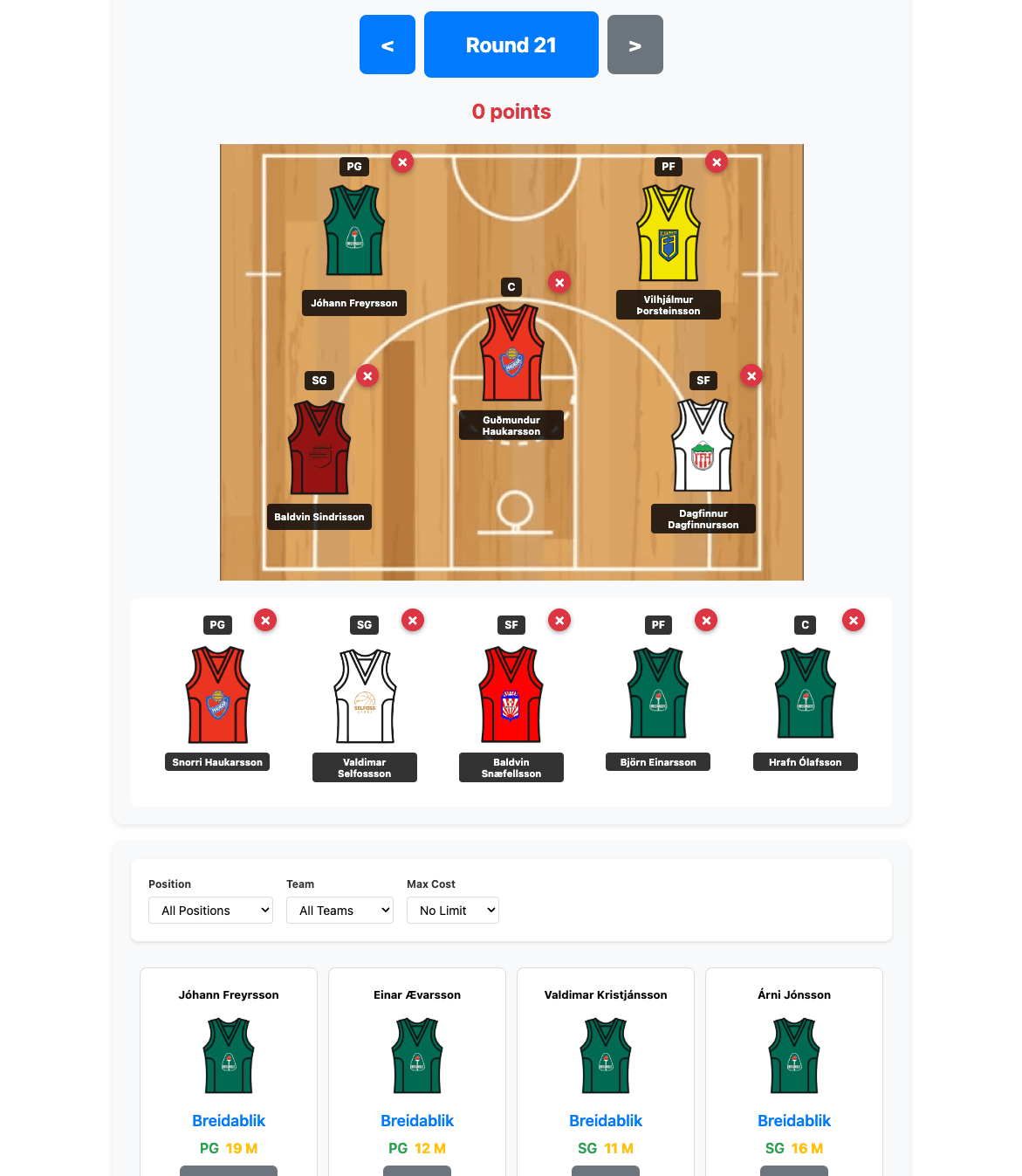 Basketball Fantasy Iceland screenshot